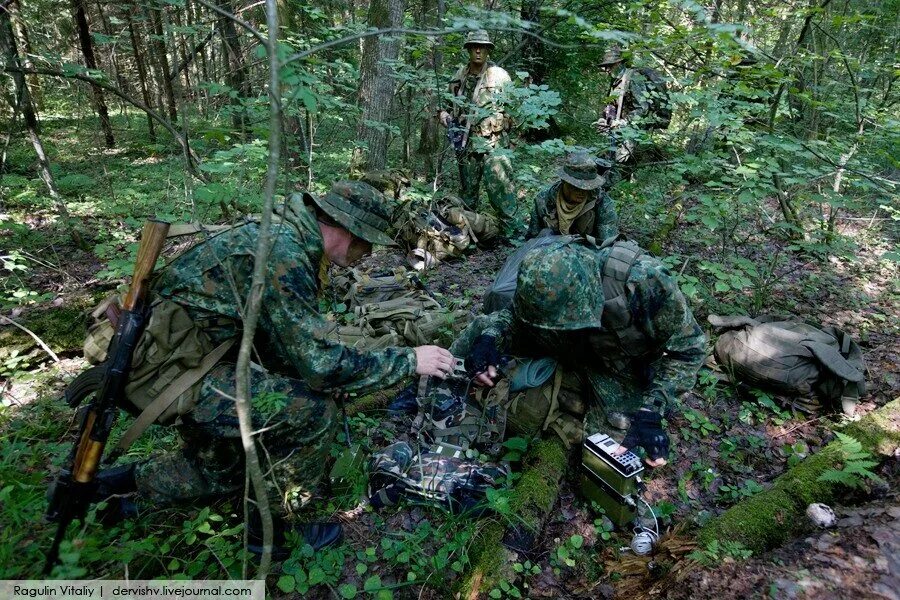 Лет военной разведки. Развед группа. Развед диверсионная группа. Спецназ гру разведка в лесу. Разведгруппа в лесу.