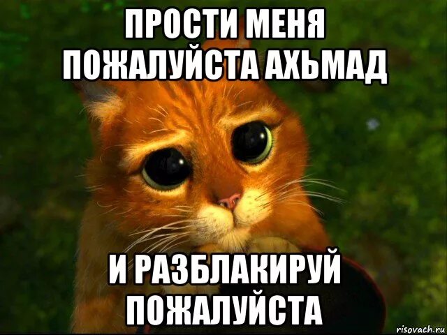 Извини пожалуйста до свидания. Прости меня. Зайка прости меня пожалуйста. Мем прости меня пожалуйста.