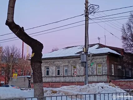 Тендеры орел