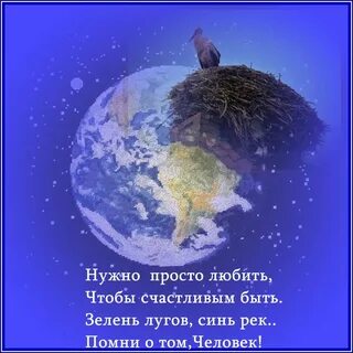 Песня аист на земле