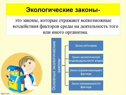 Основные классические законы экологии