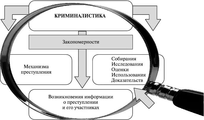 Использование доказательственной информации в криминалистике. Предмет система и задачи науки криминалистики. закономерности изучаемые криминалистической методикой. закономерности механизма преступления. закономерности механизма преступления в криминалистике.