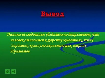 Презентация место человека в природе