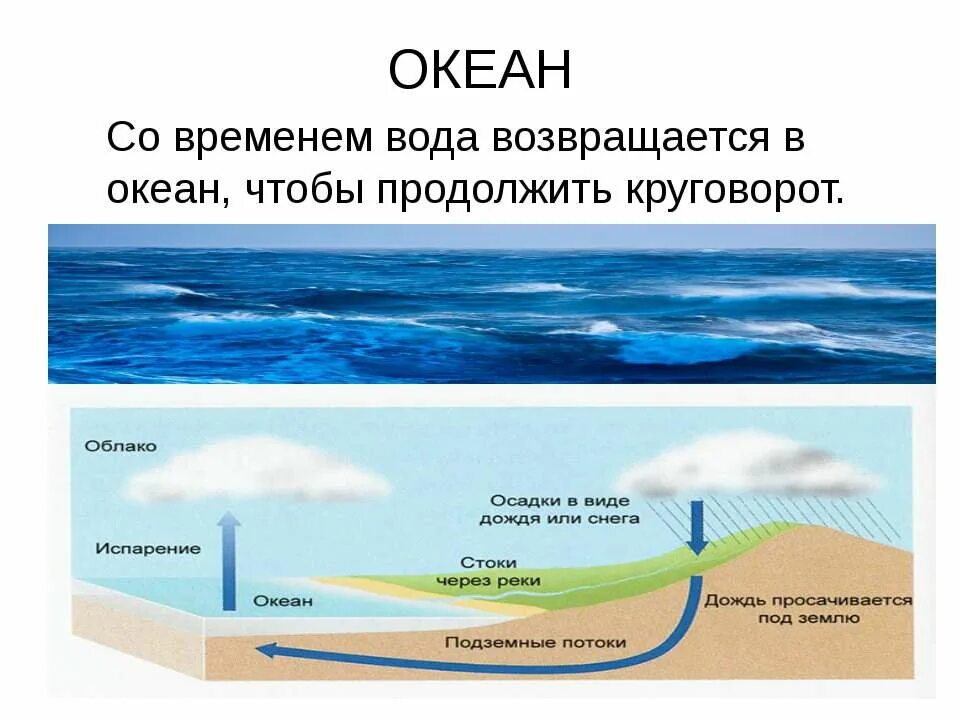 Сколько времени океана. Круговорот воды. Круговорот воды в природе. Круговорот мирового океана. Мировой круговорот воды.