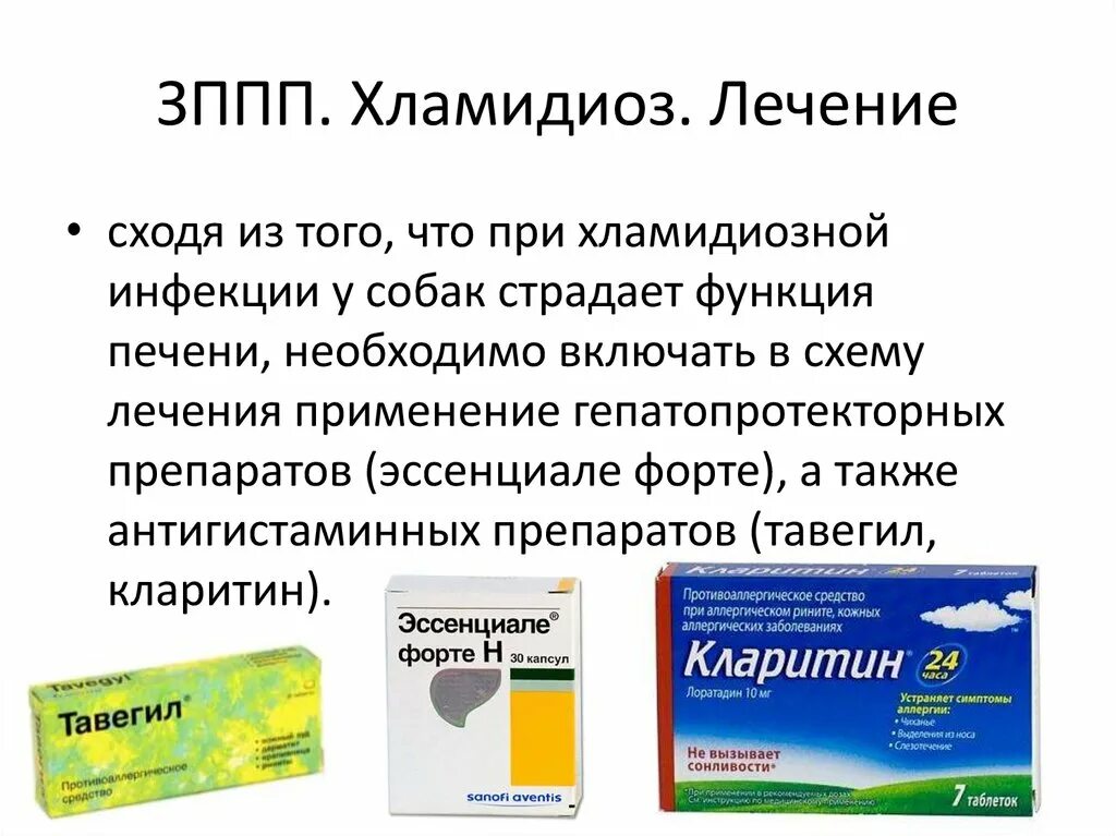 Схема лечения ЗППП. Лечение ИППП У женщин схема лечения. Азитромицин при ЗППП. Лечение кольпита у женщин препараты