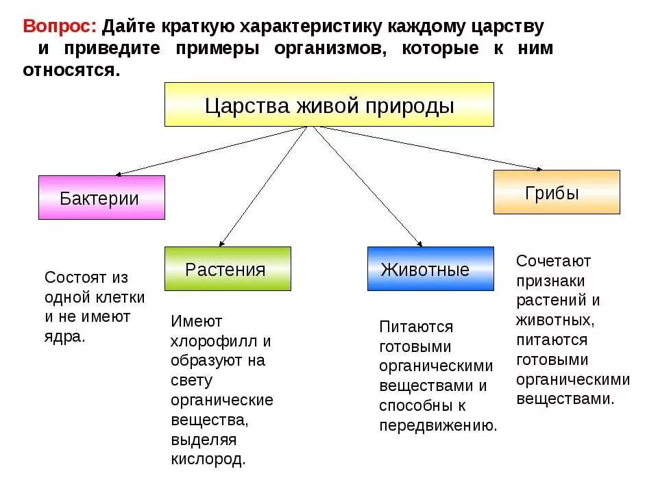 Царство растений животных грибов бактерий вирусов. Биология царства живой природы таблица. Классификация Царств живой природы. Царство животных царство растений царство грибов царство бактерий.