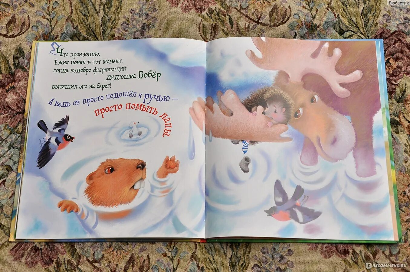 Ежик ежик фу фу фу песня. Очень маленькая сказка. маленькие сказки очень-очень маленькие. маленькая сказка про ежика. маленькая сказка про ежа.