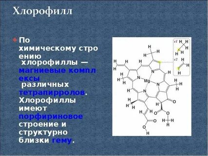 Состав хлорофилла
