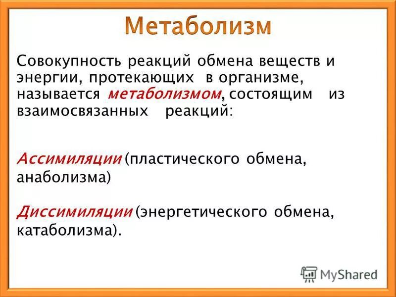 Совокупность всех обменных реакций в организме это. Метаболизм это совокупность. Реакция обмена веществ. Вещество реагирующее обмен веществ. Совокупность реакций пластического обмена