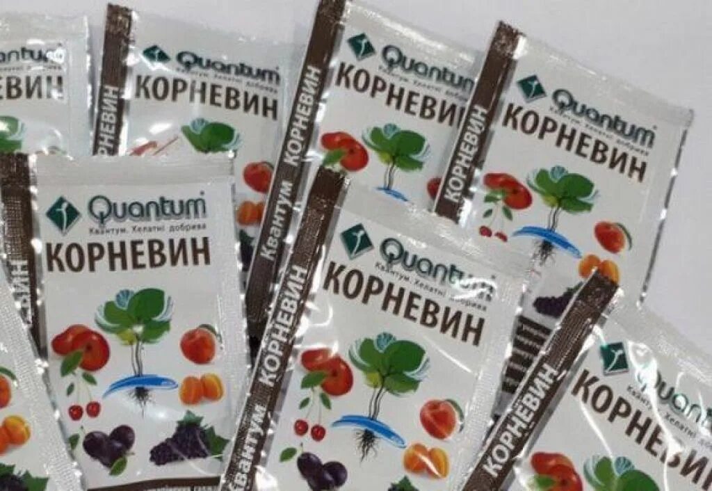 Корневин для орхидей. Корневин как использовать. Корневин порошок. Корневин стимулятор роста для рассады. Корневин для роз.