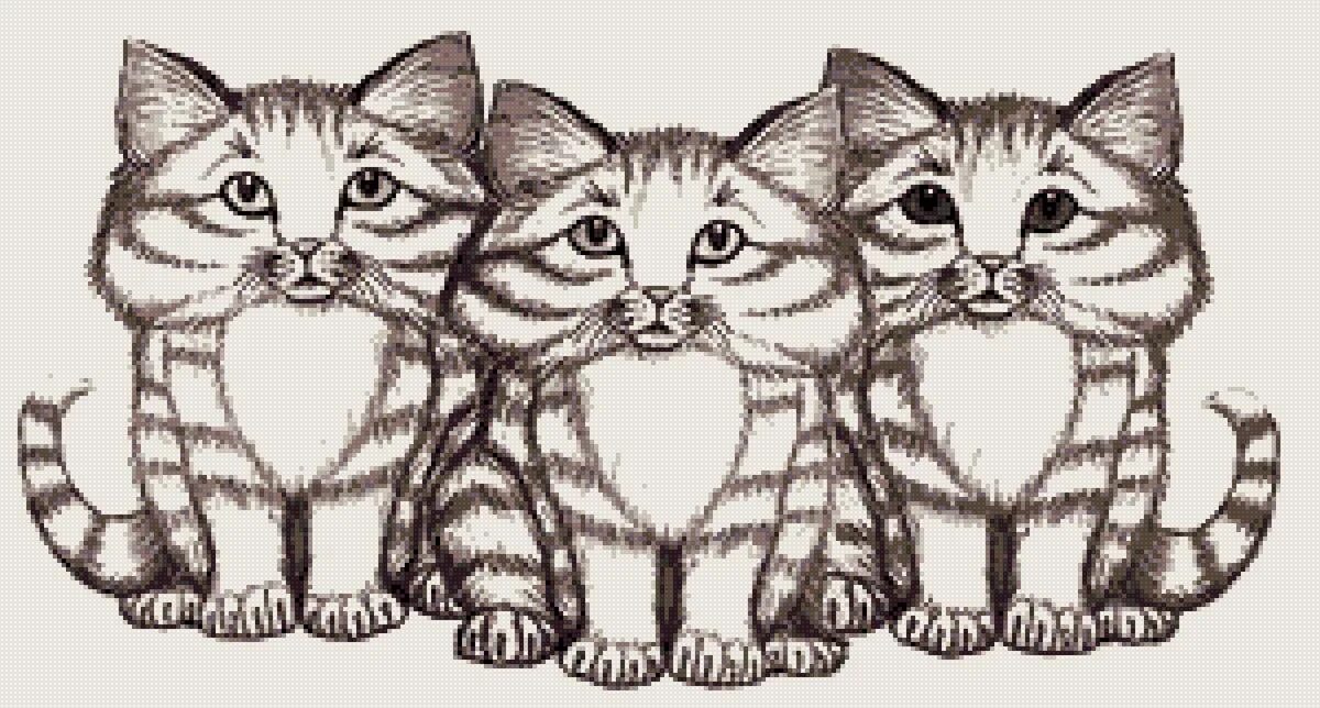Нет 3 кошки. 3 Кошки рисунок. Рисунок трех котиков. Три кошечки рисунок. Три кошки рисунок карандашом.