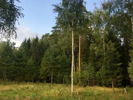 Снт отрадное