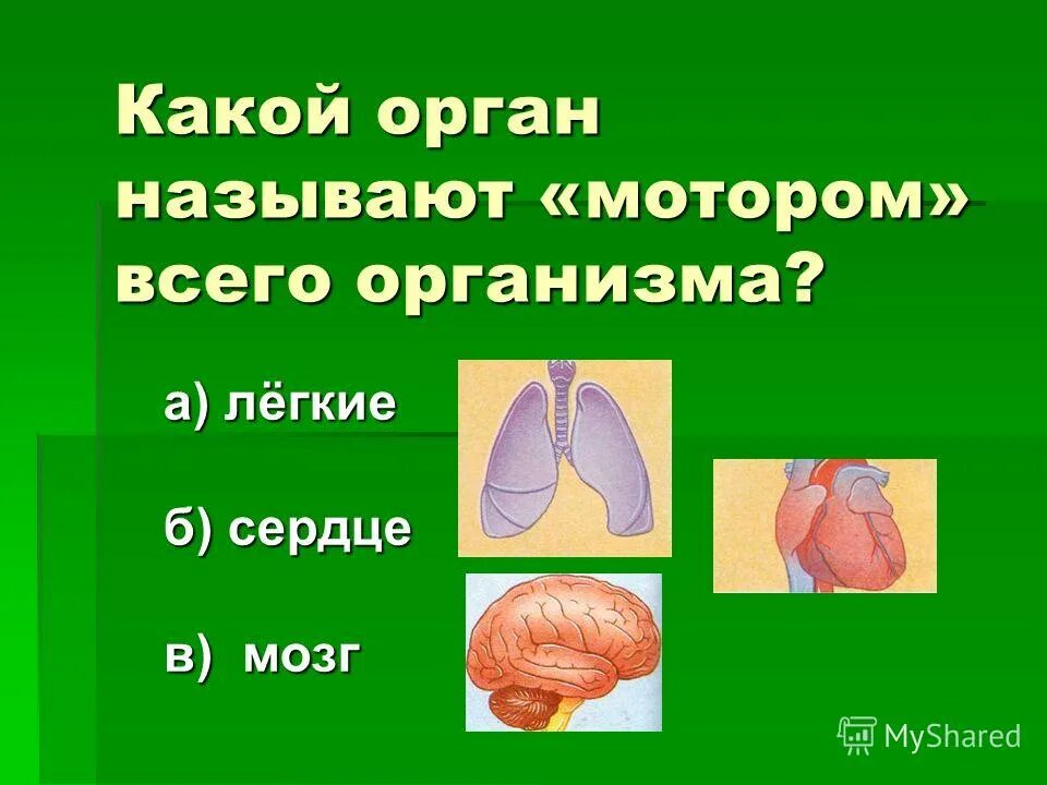 Органом называется. Какой орган человека называют мотором. Какой внутренний орган называется мотором всего организма. Легкие какой орган. В которых любому органу будет