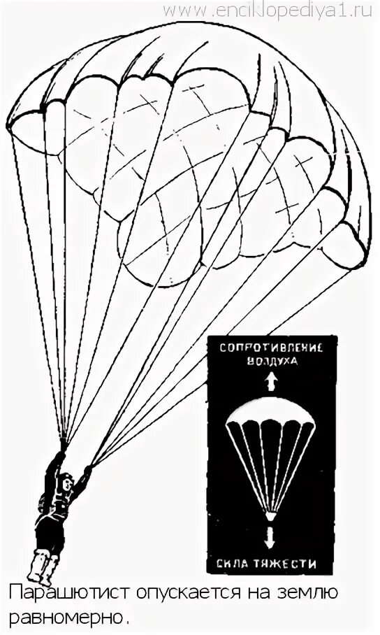 Скорость падения парашютиста