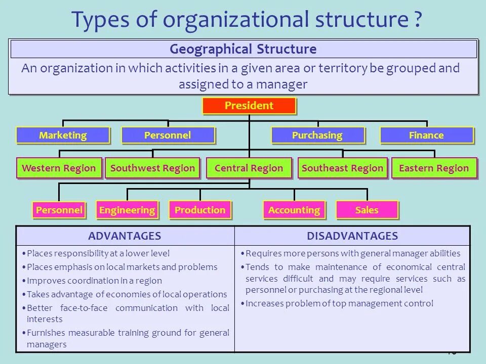 First structure. Types of Organization structure. Types of Organizational structure. Types of Organizational structure in Management. International Company structure.