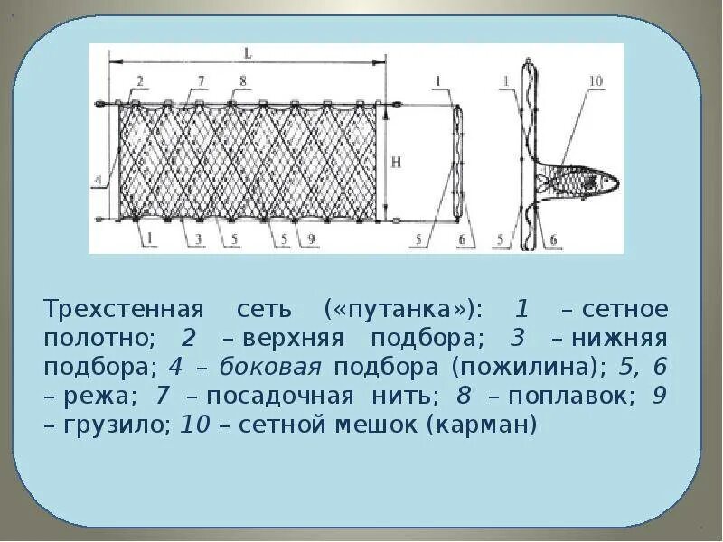 Посадка рыболовных сетей своими руками трехстенная. Трехстенная сетка трехстенная рыболовная. Посадка рыболовной сетки. Схема посадки рыболовных сетей. Можно ли ставить сети