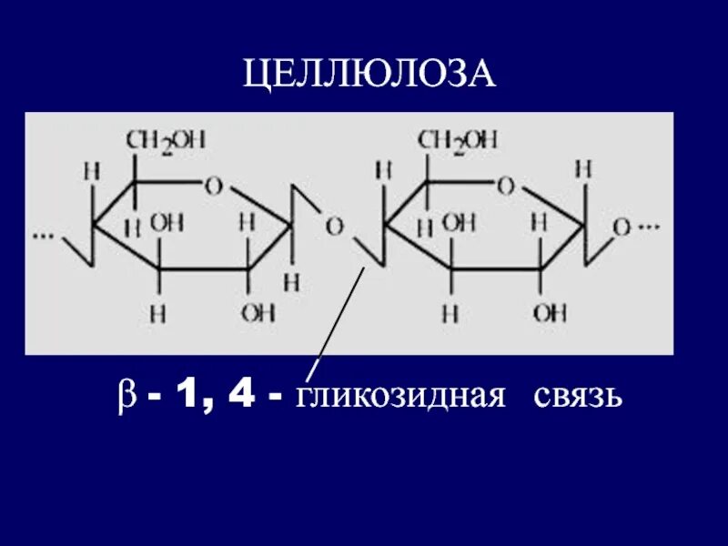 1 1 гликозидной связью. Альфа 1 4 гликозидная связь. Альфа бета 1,6 гликозидная связь. Бета 1 4 гликозидная связь. Целлюлоза Тип гликозидной связи.