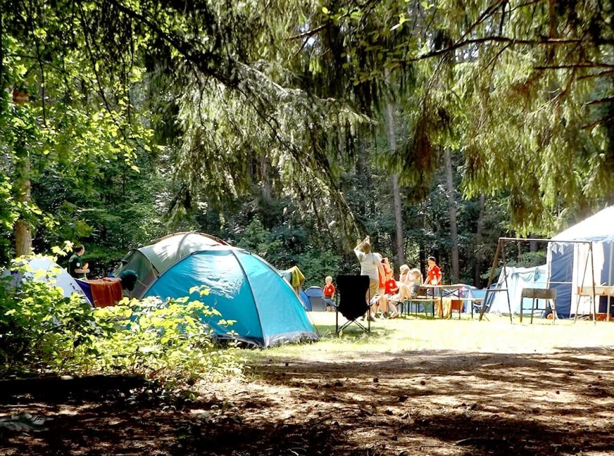 Go camping лагерь. Палаточный лагерь. Палаточный лагерь для детей. Палаточный кемпинг. Лагерь с палатками.