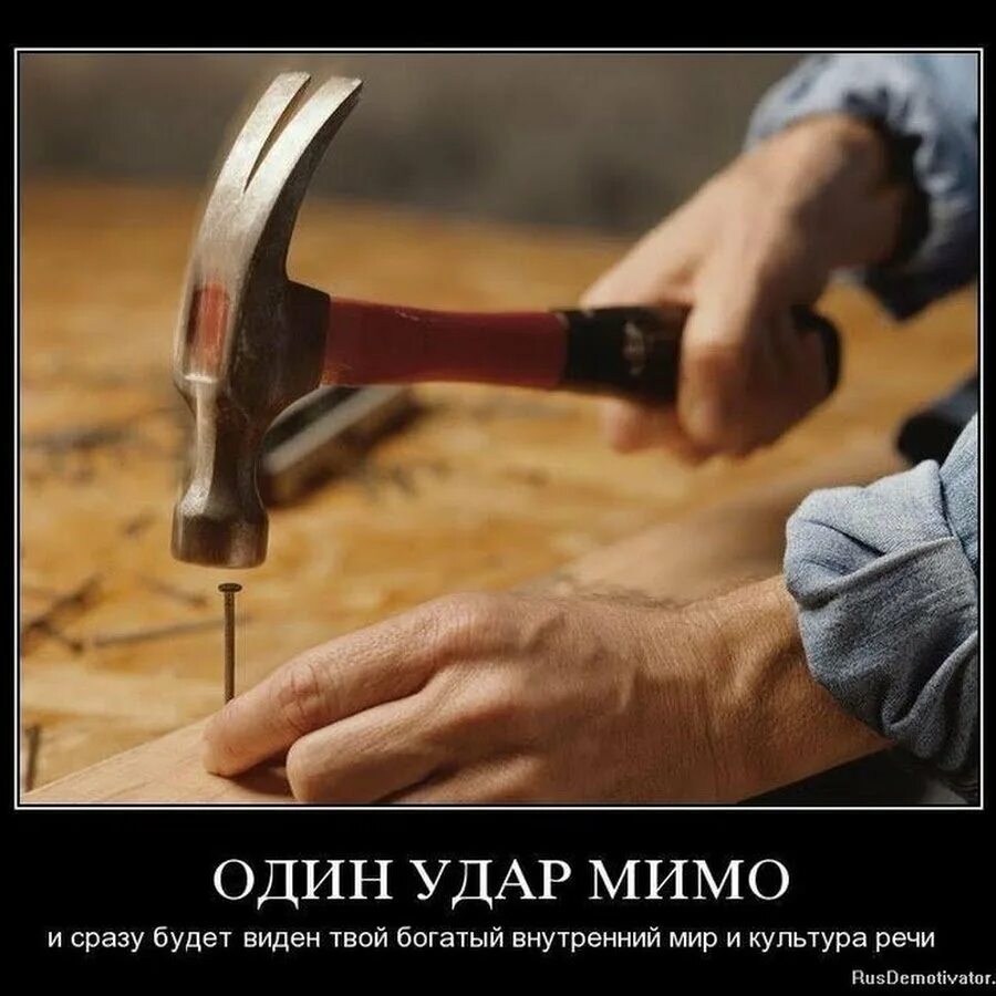 Круг забит людьми тысячи озабоченных текст