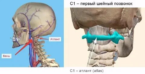 Атлант сустав шейный