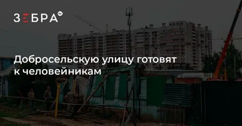 Человейники текст