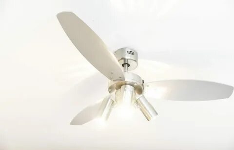 Fan plus