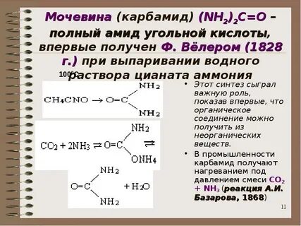 Мочевина органическая кислота