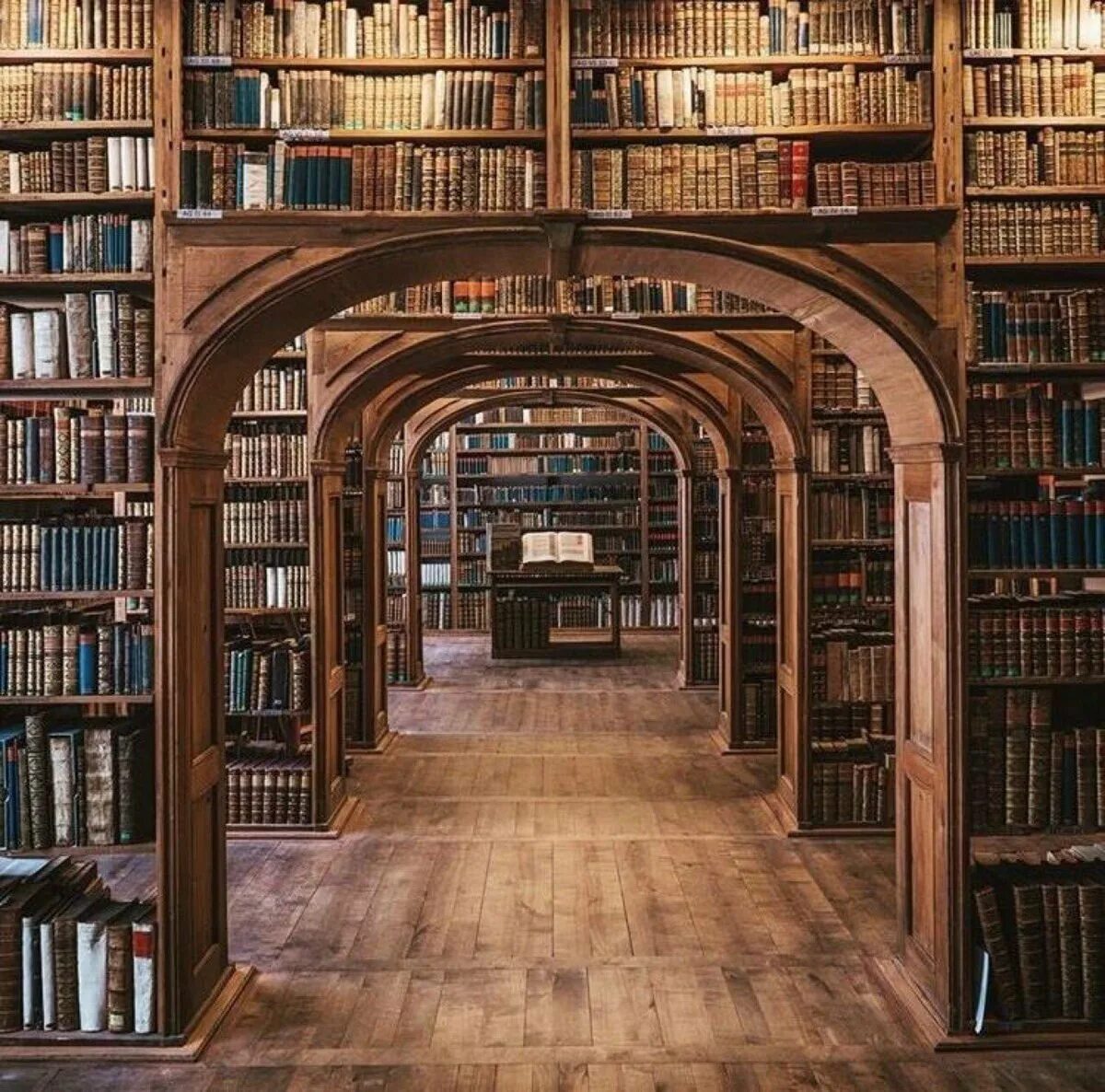 Красивая библиотека. Книжные полки в библиотеке. Старинная библиотека. Много книг.