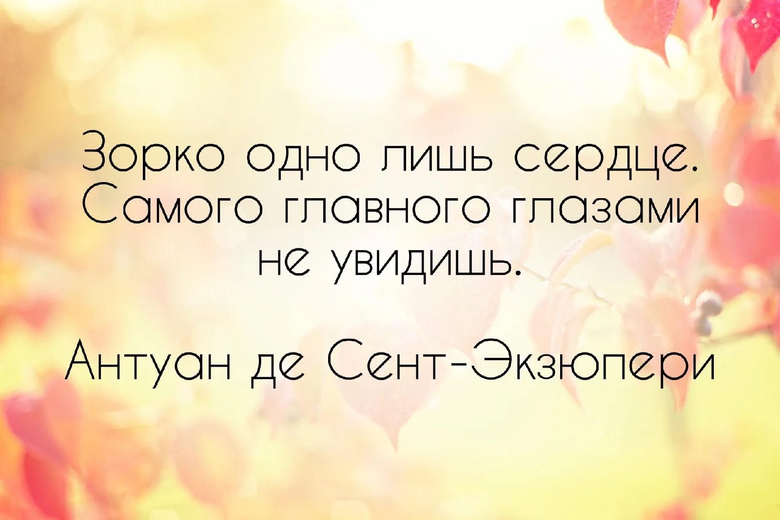 Зорко лишь сердце самого главного глазами не увидишь. Зорко одно лишь сердце самого гла. Зорко одно лишь сердце. Цитата самого главного глазами не увидишь. У всех кто видел как в день