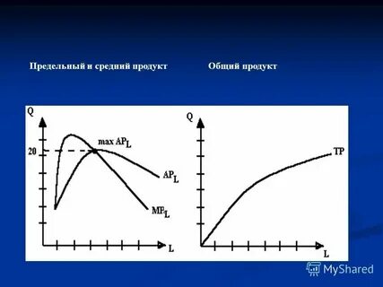 Общий продукт это