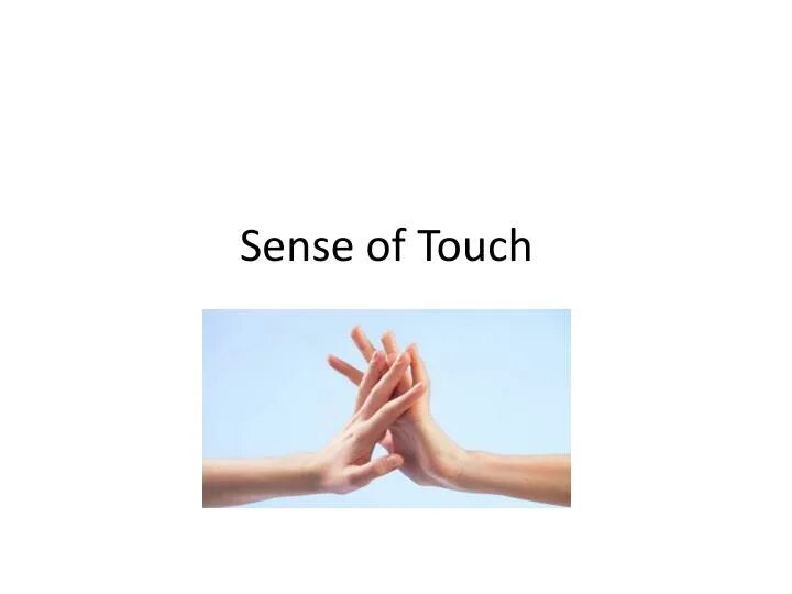 Be out of touch with. Sense of touch. sense of touch группа. the senses. out of touch.