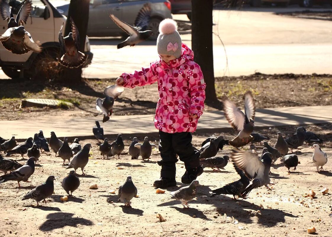 Гуль гуль гуль гуль. Форум гули. Гуль мем. Токийский гуль голубь гуль. Александрова гули гули.