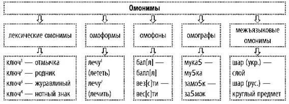 Омонимы омофоны омоформы. Омонимы омофоны омографы и омоформы примеры. Лексические омонимы омоформы омофоны омографы. Омонимы омографы омоформы примеры. Таблица омонимы омоформы омофоны омографы.