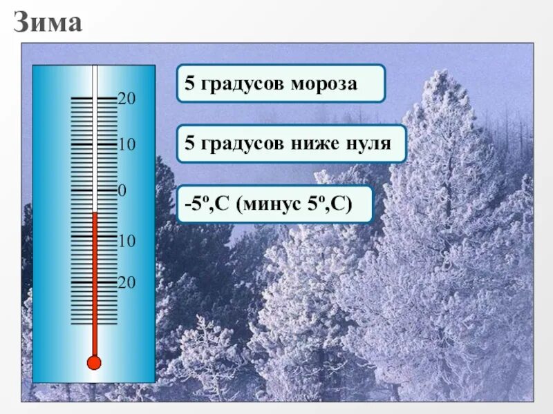 Сколько градусов на следующие. Минус 20 градусов Мороза. 5 Градусов ниже нуля. Термометр 0 градусов. 5 Градусов на термометре.