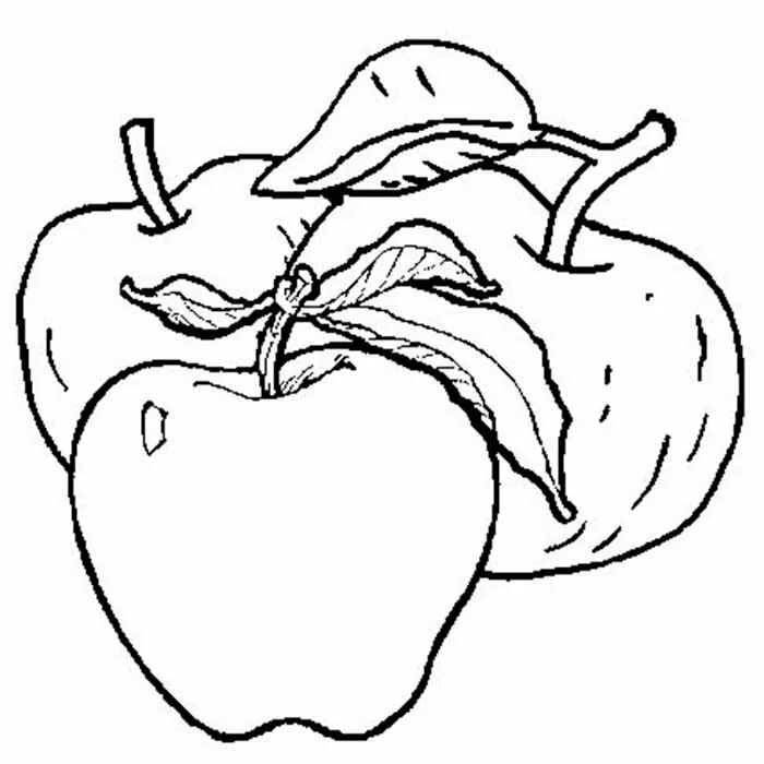 Раскраска 3 яблока. Яблоко раскраска. Яблоко раскраска для детей. Яблоко для раскрашивания для детей. Яблочко раскраска.