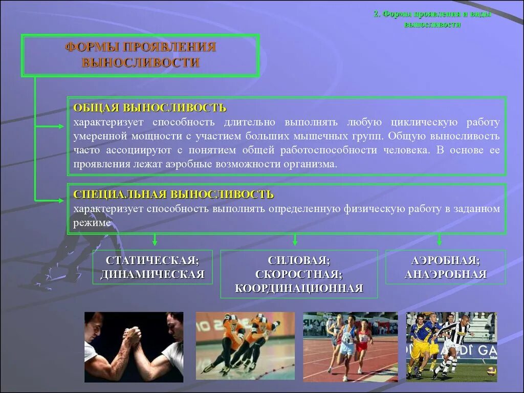 Формы которые ассоциируется с надежностью стабильностью выносливостью. Общая выносливость. формы проявления выносливости. общая аэробная выносливость. общая (аэробная) выносливость характеризуется:.