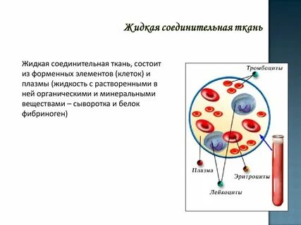 Бывает жидкая ткань