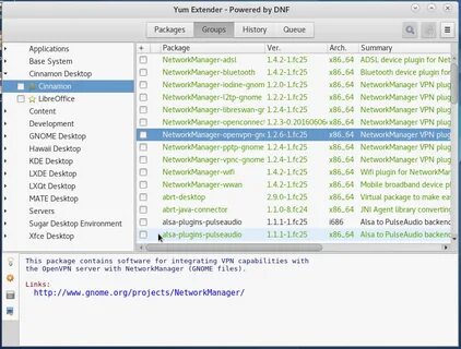 Network manager