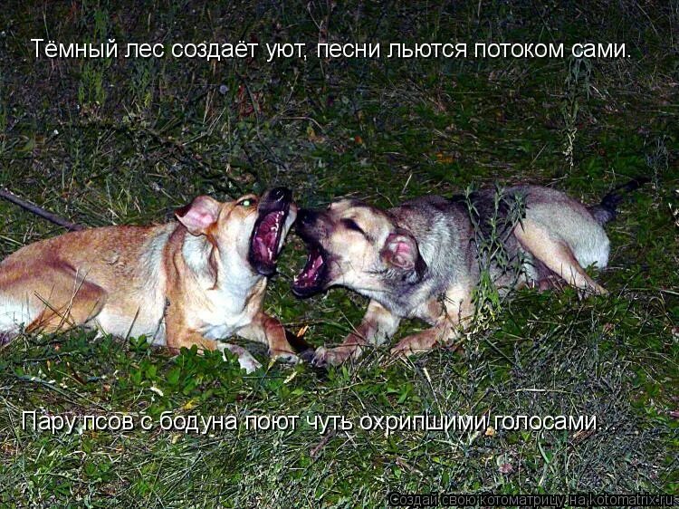 песенка про настю текст. о любви поют чуть охрипшими. гитарист романтика. песня улетай текст песни. осенний джаз.