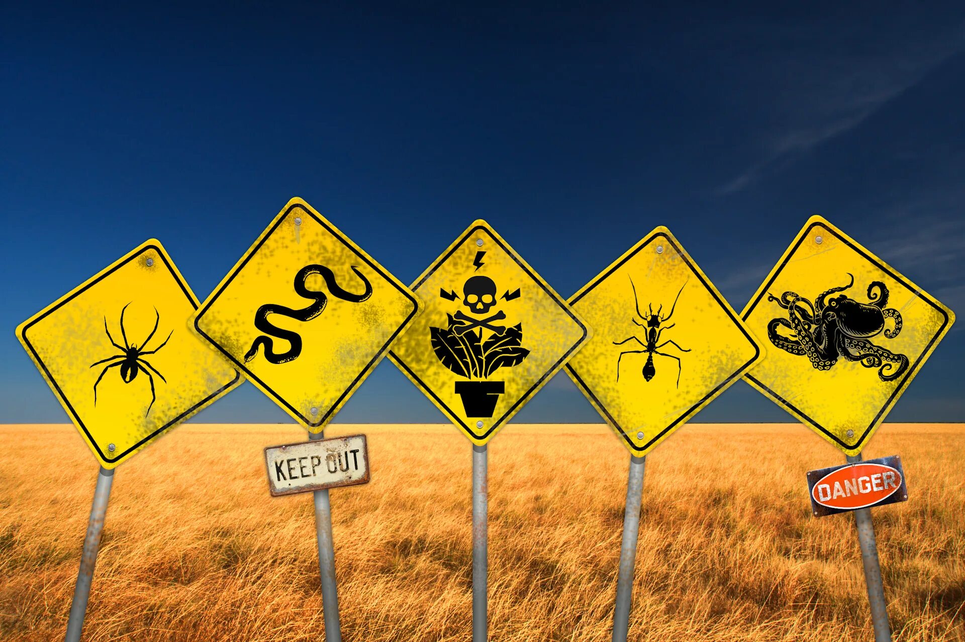 Fpe danger au wiki. Австралия юмор. australia danger.
