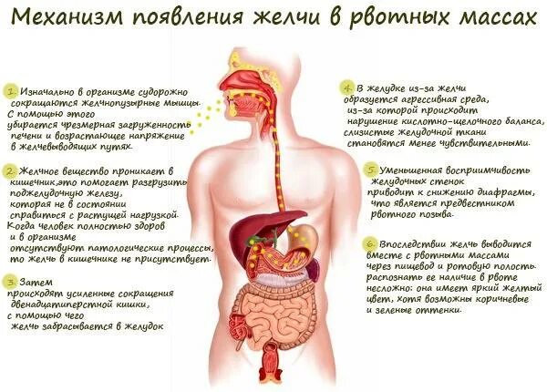 Почему рвота с кровью
