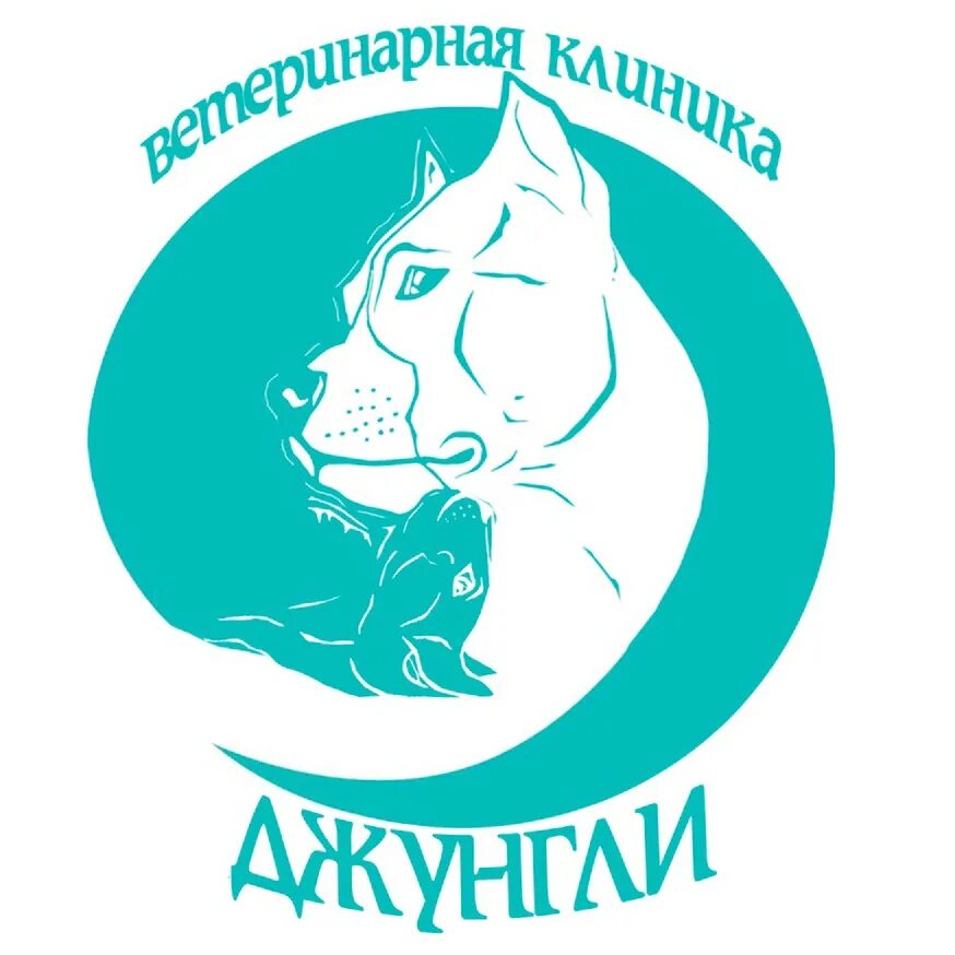 Джунгли ветклиника луганск. Ветклиника джунгли. Счастливый слон пенза лозицкой. 54 стр. Ветклиника джунгли на коломенской.