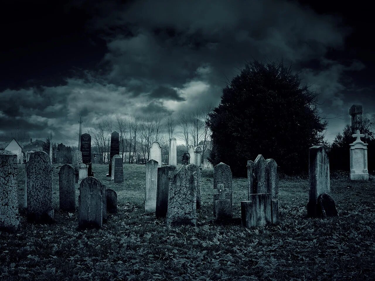Meet you at the graveyard sovan truong. Мрачное кладбище. Кладбище в лесу.