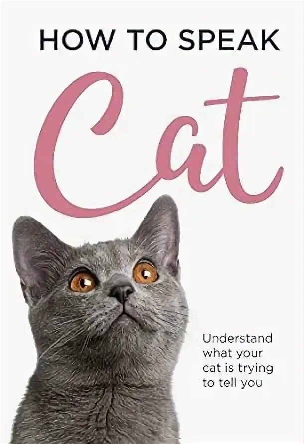 Russian cat is speaking with chinese. Cat sound mp3. Cat speaking french. Cat speaking french. Cat speaking.