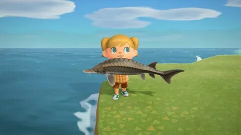 S fish