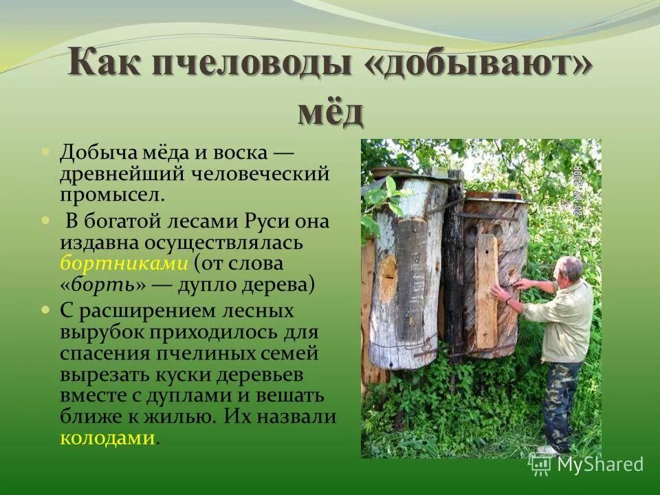 Добыча текст. Сжатое изложение перо и чернильница презентация. Понятие слова цель. Все в твоих руках цитаты. Ударение в слове добыча.