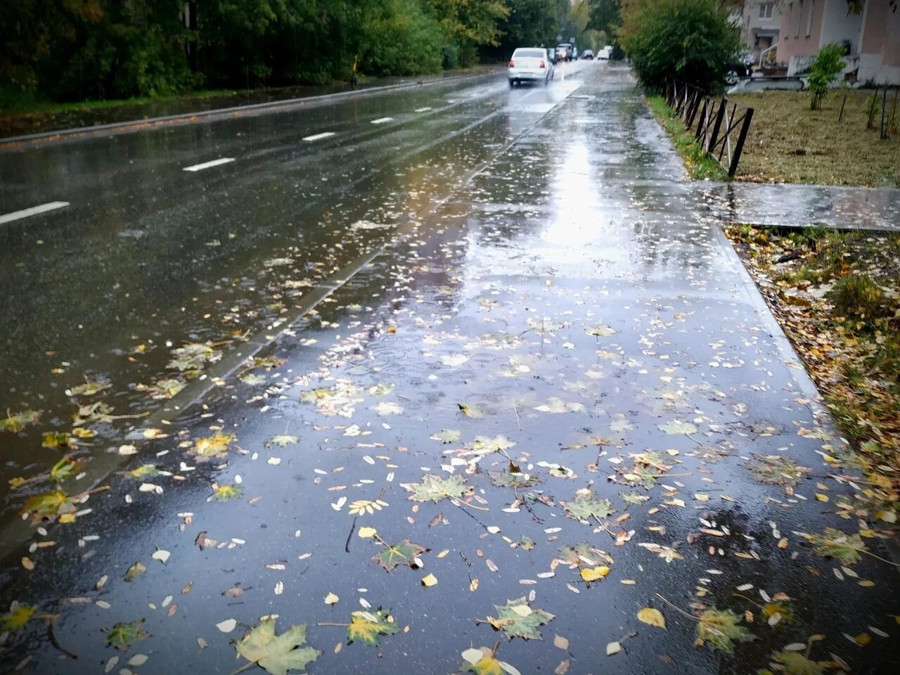 Сильный дождь. Небольшой дождь. Затяжной дождь. Дождливый.