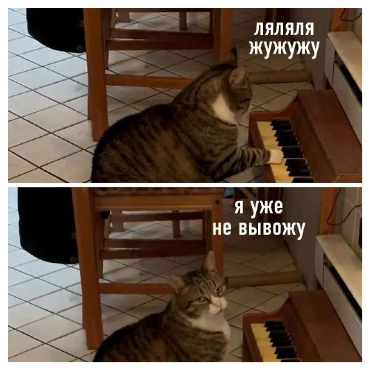 Не вывожу фраза. Уже не вывожу. я не вывожу. не вывожу картинка. я уже вывожу.