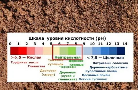 Клубника какую почву любит кислую или щелочную