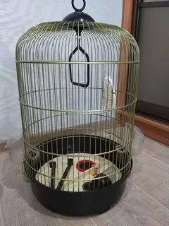 Отдаю клетку
